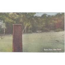 Rufus Stone New Forest Hampshire Postcard (QHAM173)