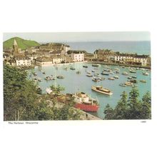 THE HARBOUR, ILFRACOMBE, DEVON unused vintage postcard =