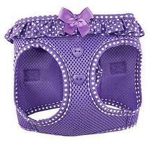 Paisley Purple X-Large