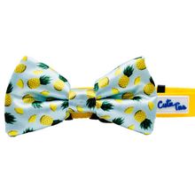 Cutie Ties Dog Bow Tie One Size Tropic Like It's Hot