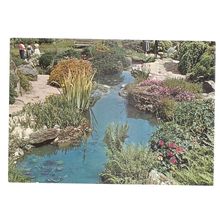 ROCK GARDEN POOL, R.H.S. GARDENS, WISLEY unused postcard 1972 =