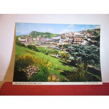 FROM THE SOUTHERN SLOPES, ILFRACOMBE unused postcard by John Hinde dated 1984 =