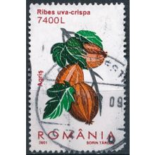 Berries: 7400l - Romania 2001 - FH - MiNr 5569