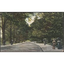 Avenue in Royal Victoria Park, Bath, Somerset, c.1905 - GD&DL Postcard
