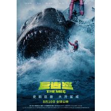 The Meg 11 Poster Canvas Movie Film Print A0 A1 A2 A3 A4 A5 A6 Art Wall Decorat