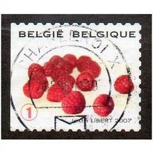 BEL 2007 (52c)(S/A) 'FRUIT- RASPBERRIES' FINE USED (EBID10402)