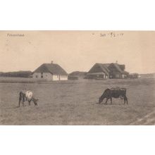 Friesenhaus Germany Old WW1 Postcard