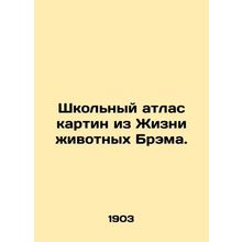 School Atlas of Paintings from the Life of Bram Animals. In Russian (ask us if i