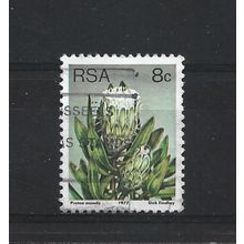 SouthAfrica.SG421 8c Protea Mundii.Fine Used.Sep25h
