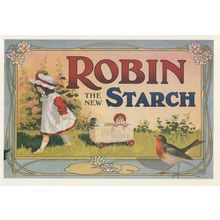 Robin Bird The New Starch Old Poster Advertising Postcard