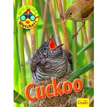 Wildlife Watchers: Cuckoo