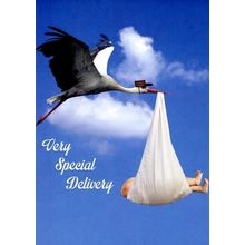 Special Delivery - Tree Free Greeting Card - 14549