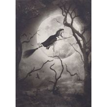 Witch On Broomstick Moonlight UNIQUE London Photo Agency Art Postcard