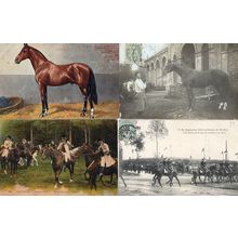 French Horse Racing Military 4x Antique Equestrian Postcard s
