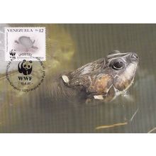 Arrau River Turtle Venezuela WWF Rare Stamp FDC Postcard