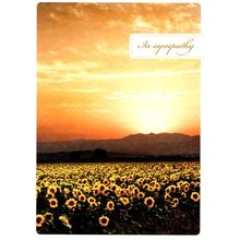 New Dawn - Tree Free Greeting Card - 12815