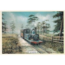 Southwold Train Railway The Heronry Painting Postcard