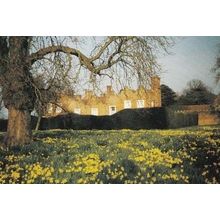 Liscombe Park Buckinghamshire Bucks Easter Postcard