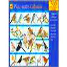 Wild Birds Collection 2