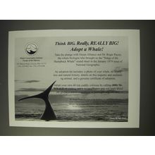 2003 Whale Conservation Institute Ad - Think BIG. Really, Really Big!
