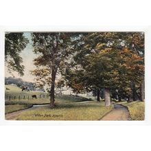 Wilton Park Hawick Postcard Roxburghshire