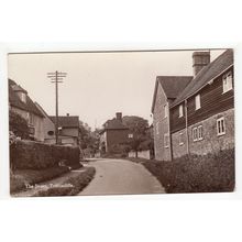 The Street Trottiscliffe Postcard RP Kent