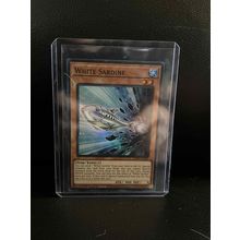 White Sardine - PHNI-EN007 - Super Rare - 1st Edition Phantom Nightmare Yu-Gi-Oh