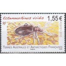 TAAF 2018 Insecte Ectemnorhinus Viridis Neuf **