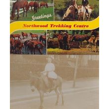 Northwood Trekking Centre Peak District Horse Riding Centre 1970s 2x Postcard