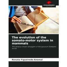The evolution of the somato-motor system in mammals