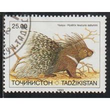 Tajikistan N° 15 YVERT OBLITERE ( USED )
