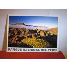 FLORA DEL PARQUE, TEIDE NATIONAL PARK, TENERIFE unused postcard. =