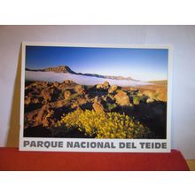 FLORA DEL PARQUE, TEIDE NATIONAL PARK, TENERIFE unused postcard. #