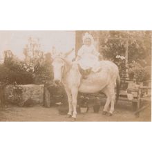 Baby Riding A Horse Donkey Real Photo Antique Postcard