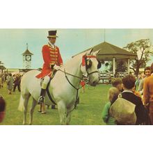 Royal Pageantry Fete Horse Show School Children 1970s Postcard