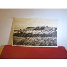 CARAVAN PARK, SANDY BAY, EXMOUTH, DEVON unused postcard by Harvey Barton =