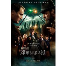 Fantastic Beasts_ The Secrets of Dumbledore (2022)_30 Movie Film Poster Canvas i