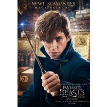 Fantastic Beasts and Where to Find Them (2016)_10 Movie Film Poster Canvas iconi