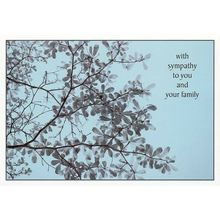 With Sympathy To You And Your Family - 01863