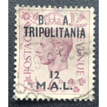 tripolitania B.A SG T8 USED