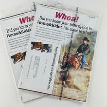 Horse & Rider Magazine Lot Sealed / Never Read