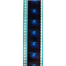 Pk DAU - J - MIX - a 024X . 1 STRIP OF 5 - 35MM FILM CELLS. (C )
