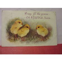 EASTER CHICKS used vintage postcard 1934 pm =