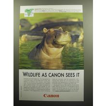 2009 Canon Photography Advertisement - Hippopotamus