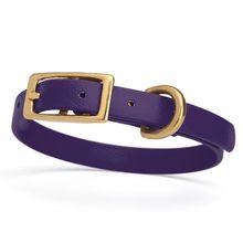 Dog Pet Collar with Brass Hardware Size XS W 1/2” L 9” - 12” Violet Purple
