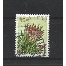 SouthAfrica.SG414 1c Protea Repens.Fine Used.Sep25x