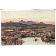 Rannoch Moor S Hildesheimer & Co Art Postcard 5452