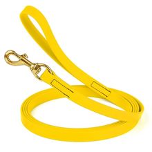 Dog Pet Leash Lemon Yellow w/ Brass Hardware W 3/4" - L10'