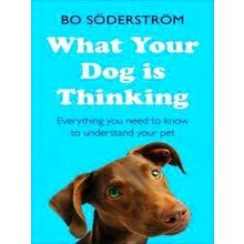 What Your Dog Is Thinking