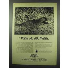 1952 Du Pont Sporting Powders Ad - Mustela Weasel